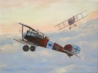 Albatros DVa