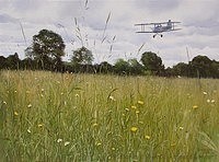 Caudron Luciole