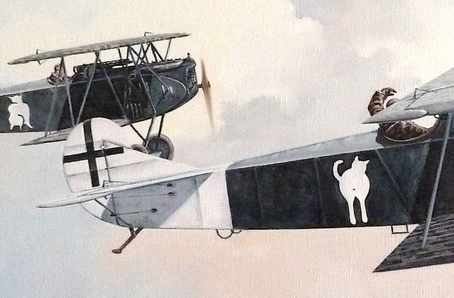 Fokker DVII - détail