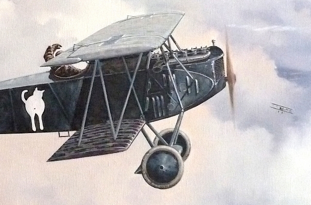 Fokker DVII - détail