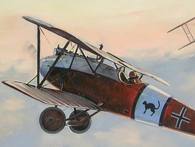 Albatros DVa - détail