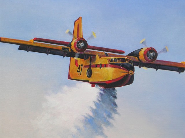 Canadair CL-215