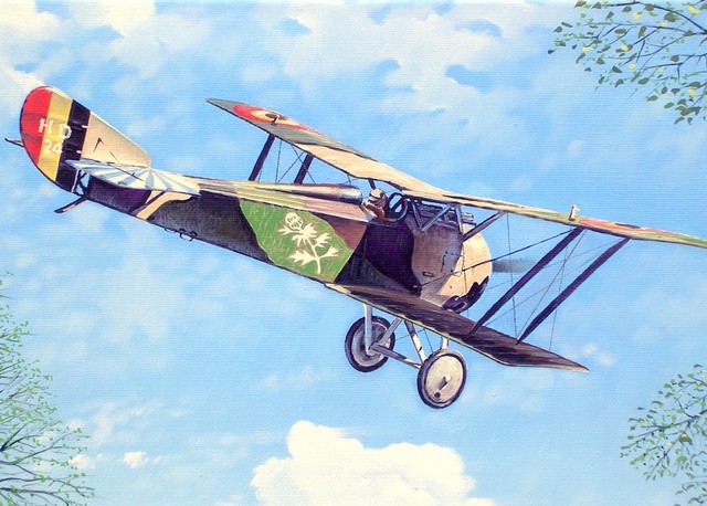 Hanriot HD 1 detail