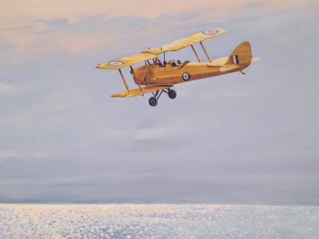 Tiger Moth